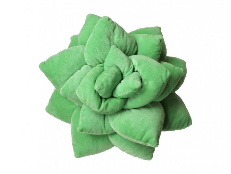 Succulent Cactus Decor Pillow