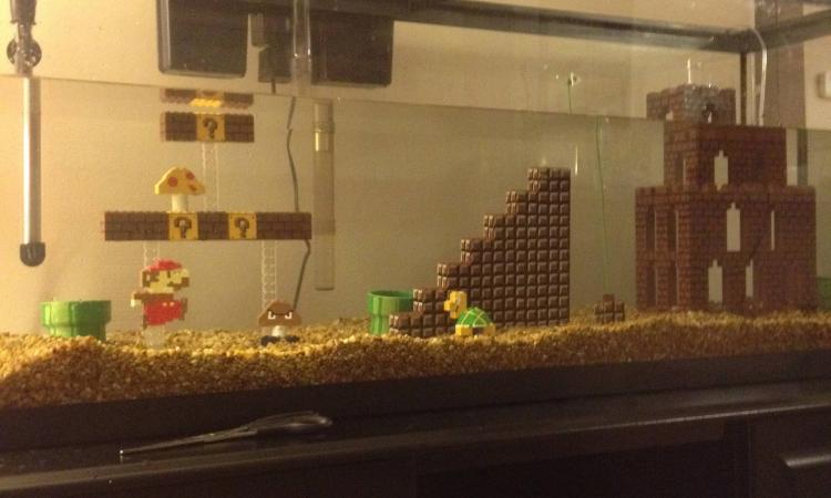 Super Mario Aquarium - NES Mario Fish Tank Castle - Mario underwater level made in aquarium