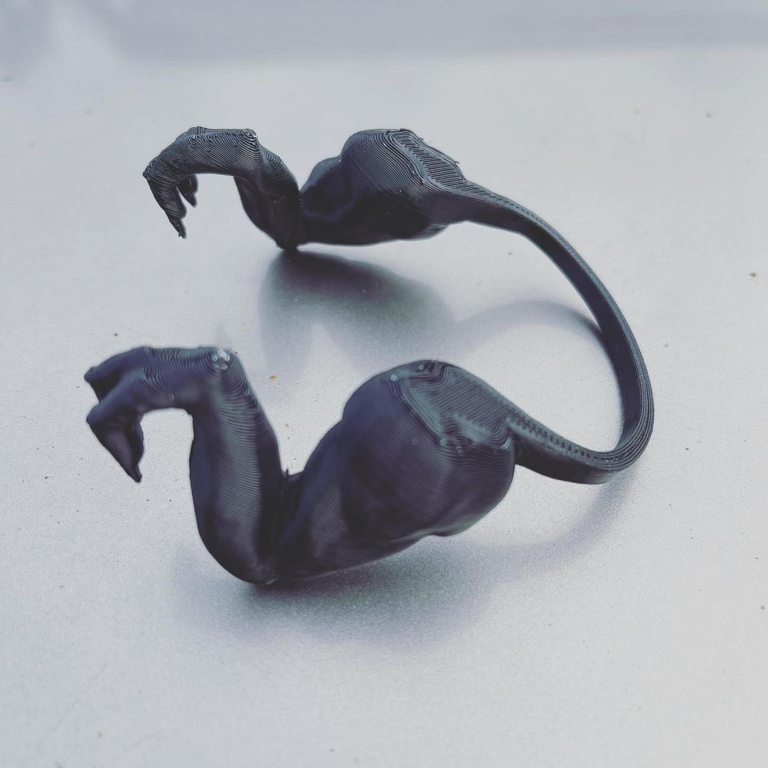 T-Rex Chicken Arms - 3D Printed T-Rex Arms For Chickens