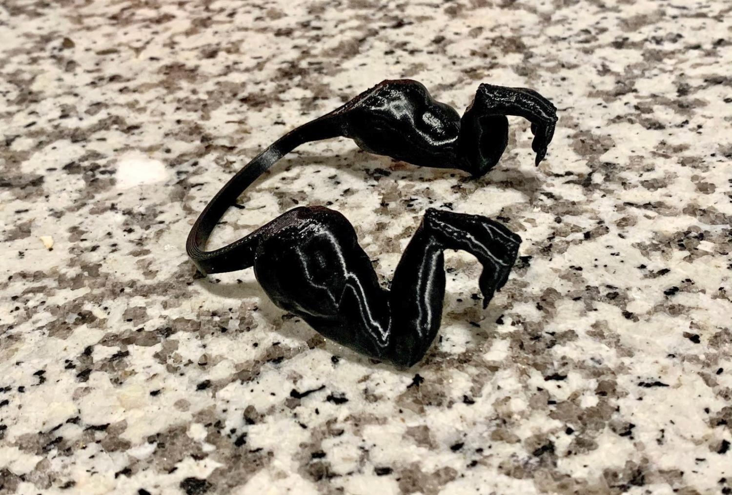 T-Rex Chicken Arms - 3D Printed T-Rex Arms For Chickens