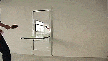 Ping Pong Door - Table Tennis Door - Door That Folds Down Into a Ping Pong Table