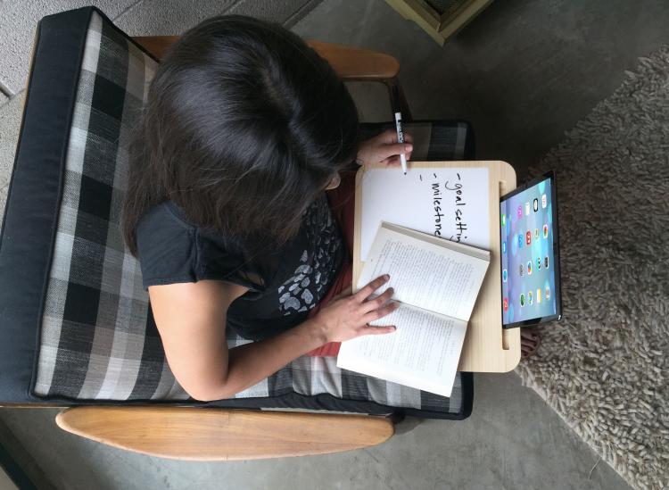 iSkelter Tablet Lap Desk