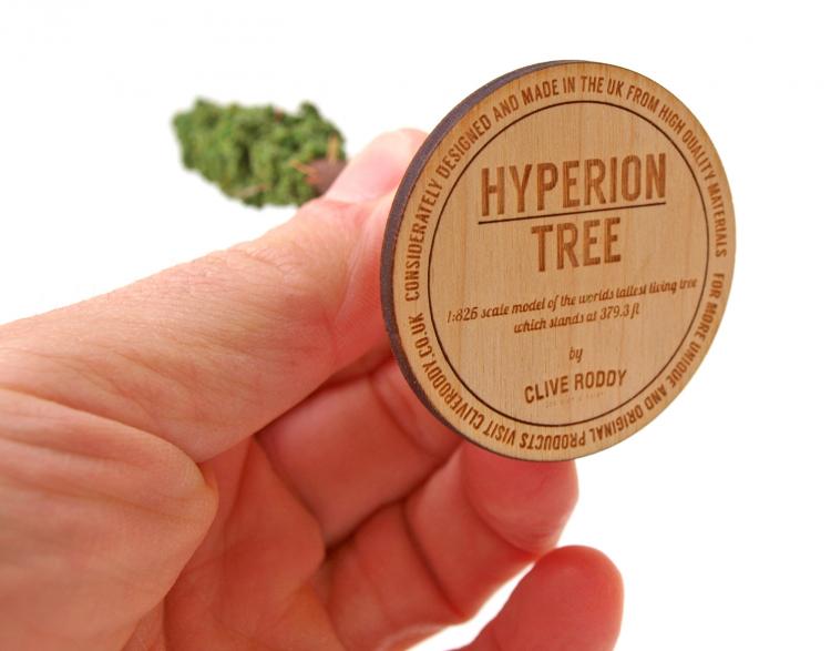Hyperion Tree Scaled Replica - Scaled Replica Of The Tallest Tree In The World
