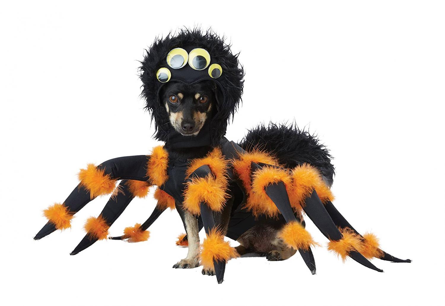 Tarantula Dog Costume Turns Your Dog Into a Giant Spider For Halloween