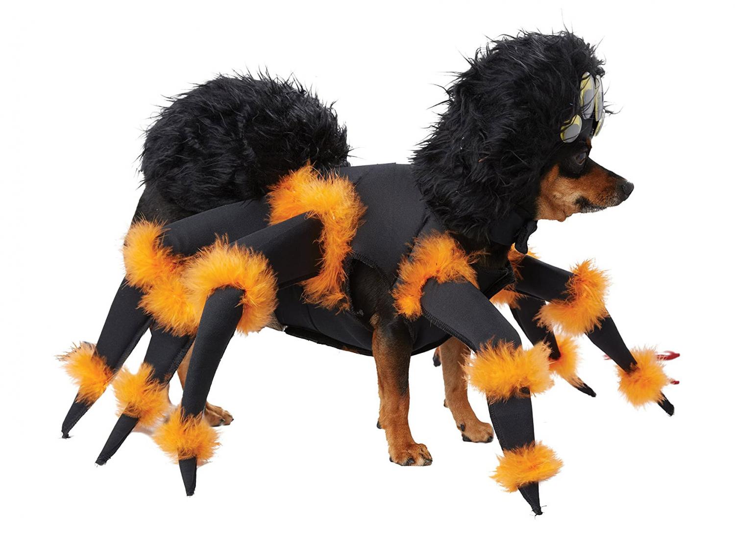 Tarantula Dog Costume Turns Your Dog Into a Giant Spider For Halloween