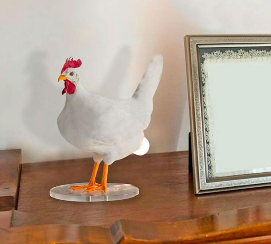 Chicken egg lamp