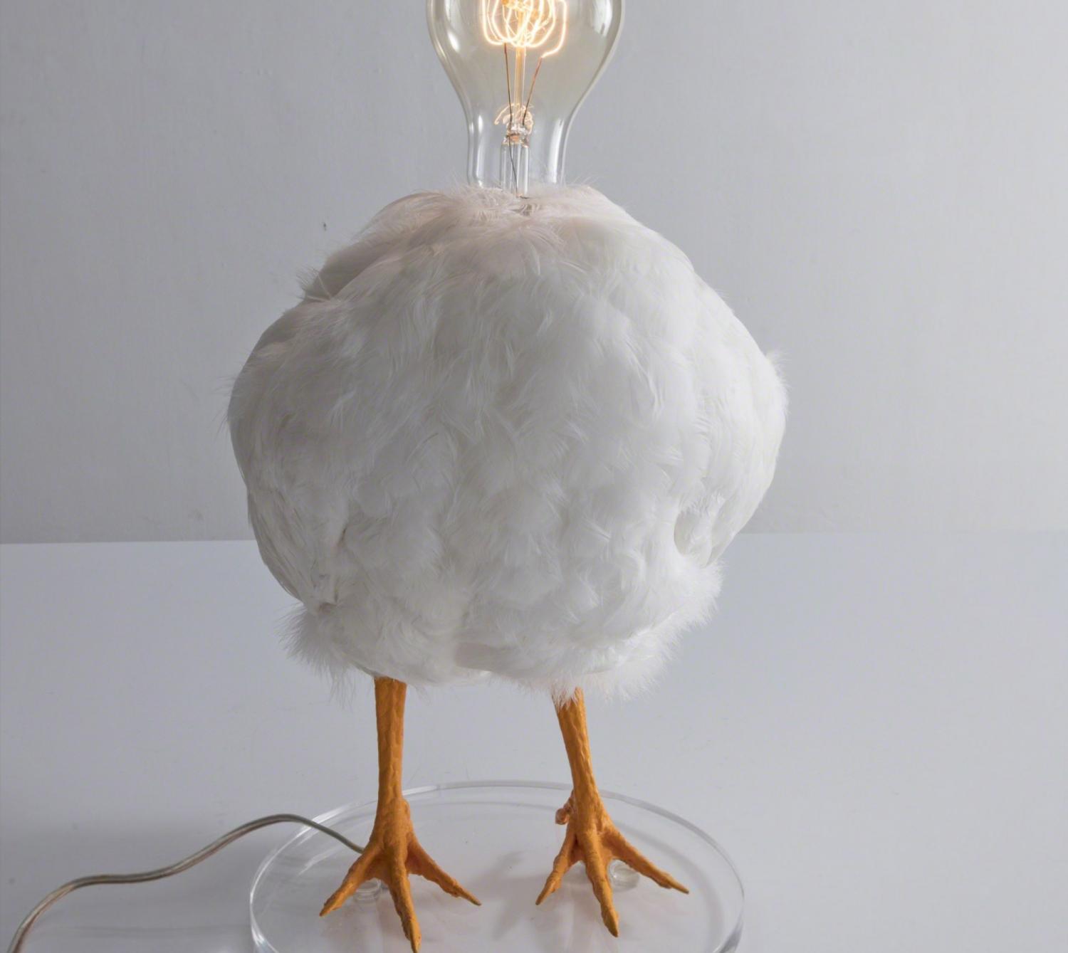 Taxidermy Chicken Light Bulb Lamp