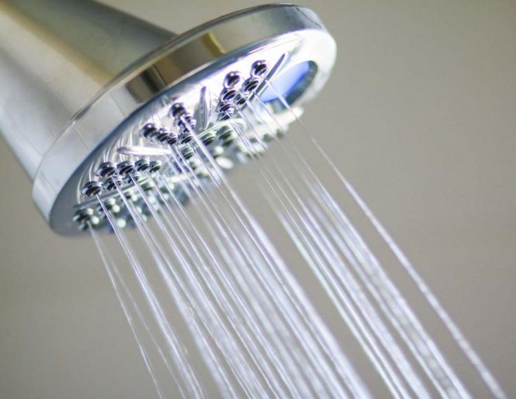 Delta Faucet Temp2O Temperature Gauge Shower Head