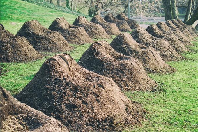 Terra! - Natural Grass Chairs Made Into Your Lawn - Grass furniture