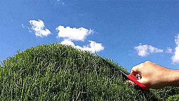 Terra! - Natural Grass Chairs Made Into Your Lawn - Grass furniture