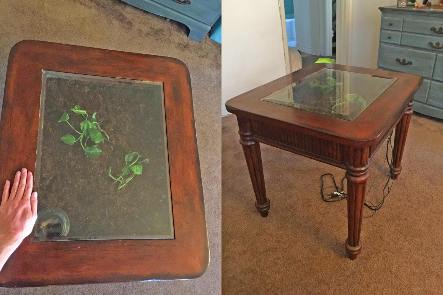 Terrarium Coffee Table - Garden table