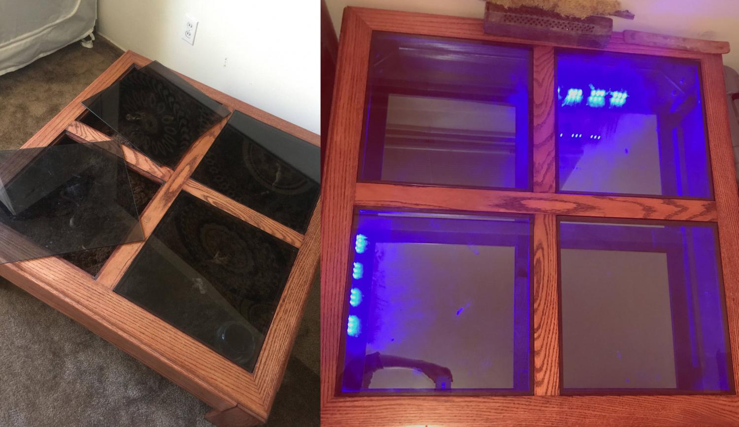 Terrarium Coffee Table - Garden table
