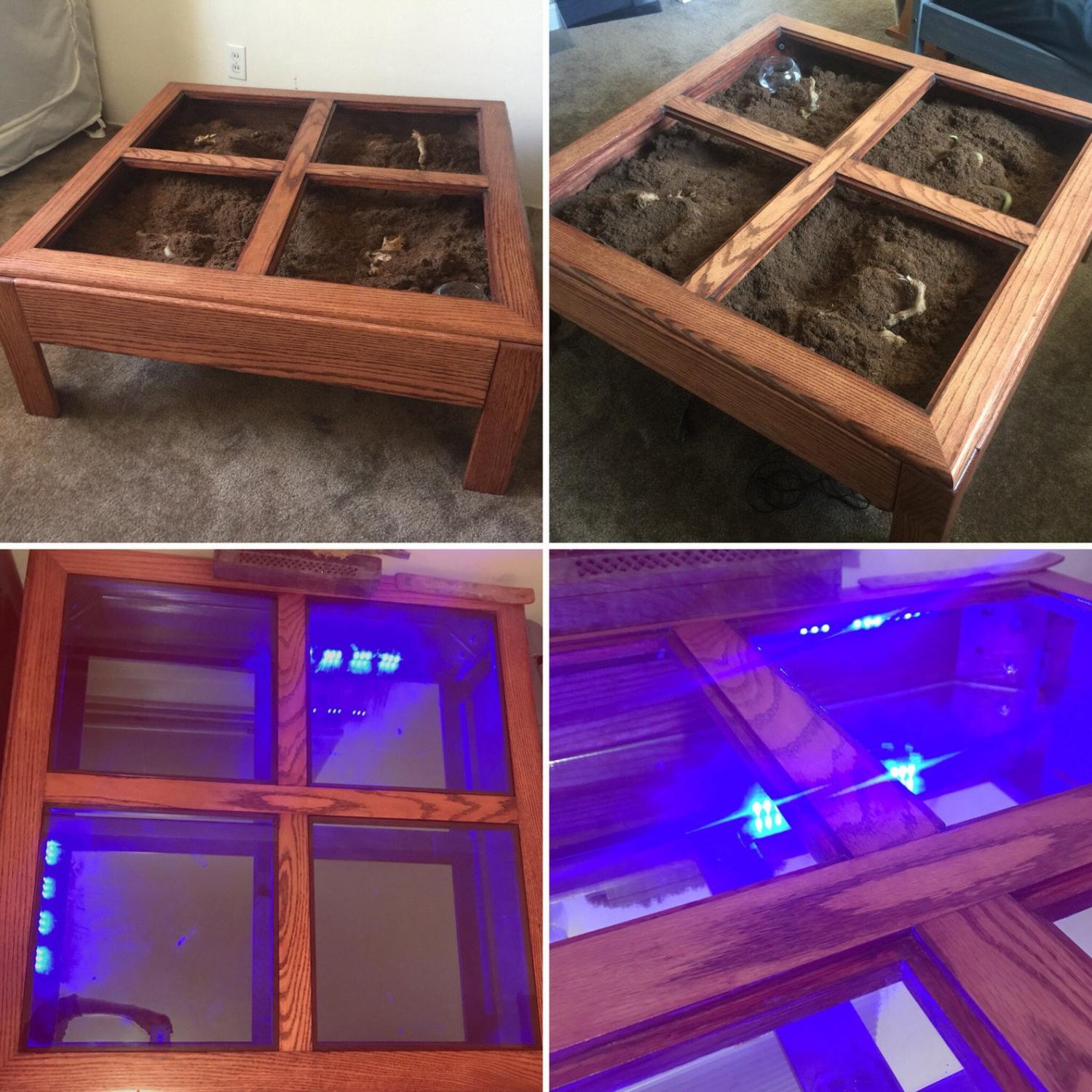 Terrarium Coffee Table - Garden tableTerrarium Coffee Table - Garden table