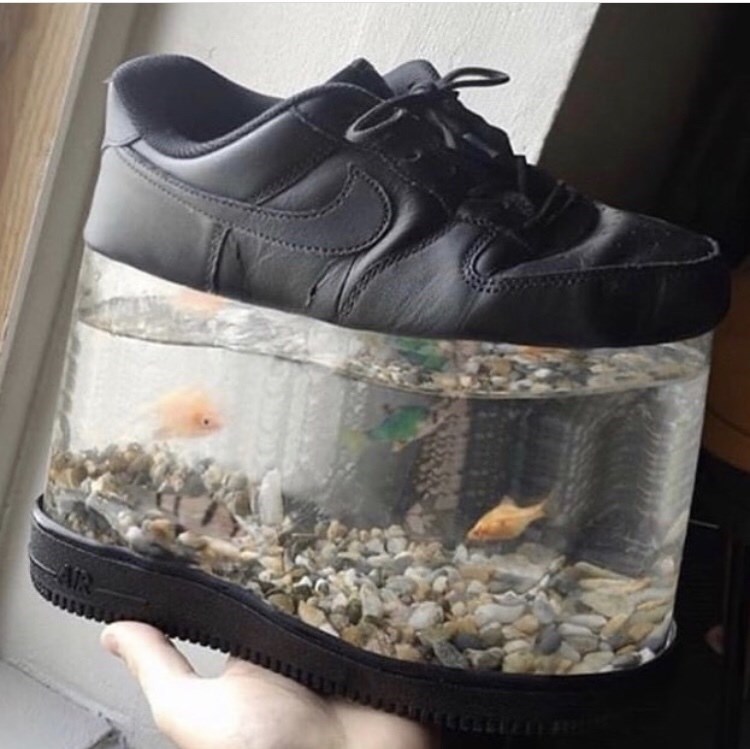 fish tank shoes