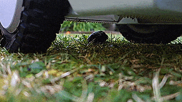 Beetl Autonomous Robot That Finds And Picks Up Dog Poop - Automatic dog poop cleaning robot