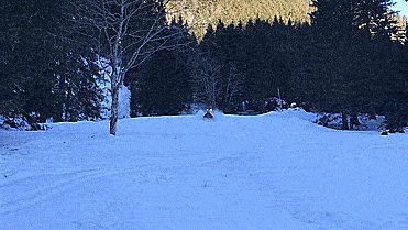 Bobsla Is a Winter E-Vehicle That's Part Go-Kart, Part Snowmobile, and It Drifts