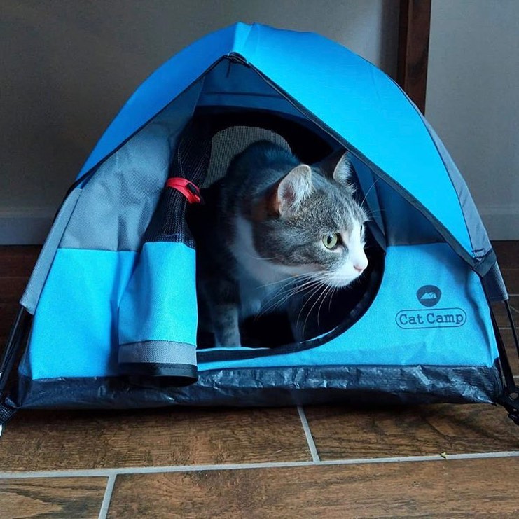 Cat Camp - Mini Camping Tent For Cats