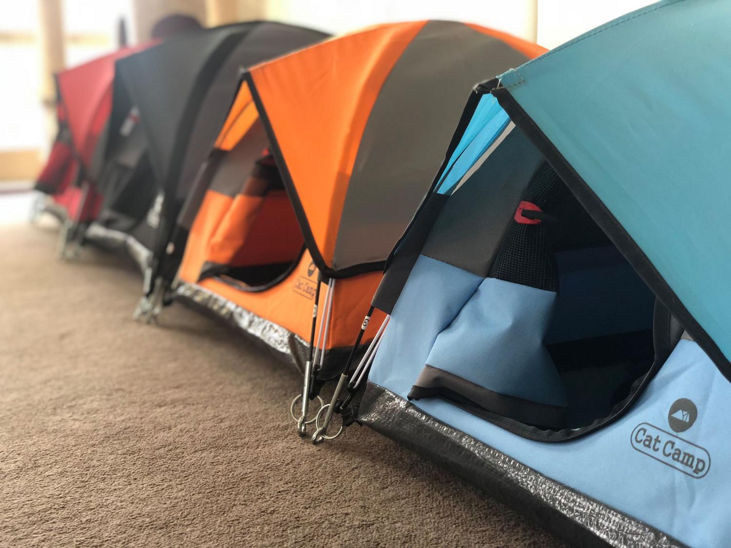 Cat Camp - Mini Camping Tent For Cats
