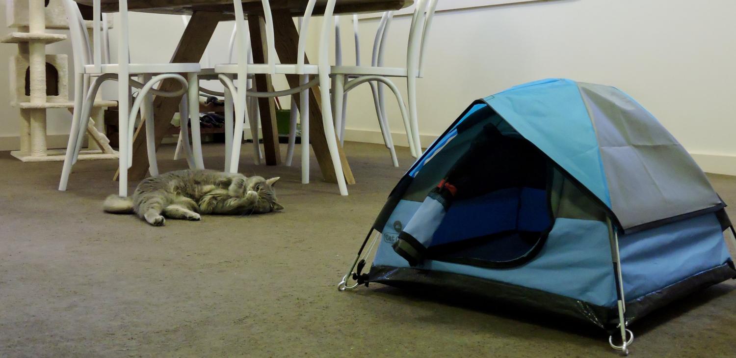 Cat Camp - Mini Camping Tent For Cats