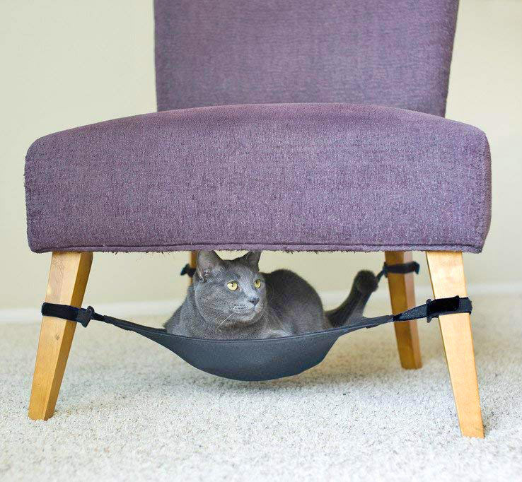 The Cat Lady Starter Pack - Gift ideas for cat lovers