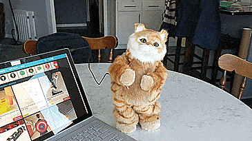 The Cat Lady Starter Pack - Gift ideas for cat lovers