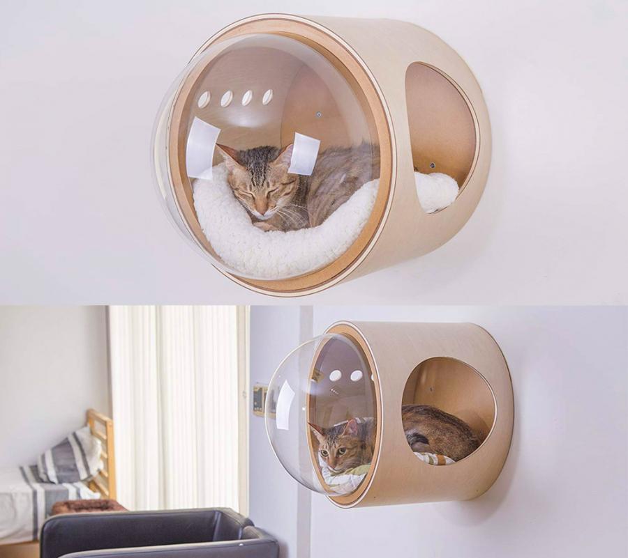 The Cat Lady Starter Pack - Gift ideas for cat lovers