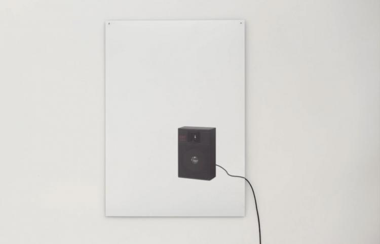 Flat Life Sound - Picture of speaker that works