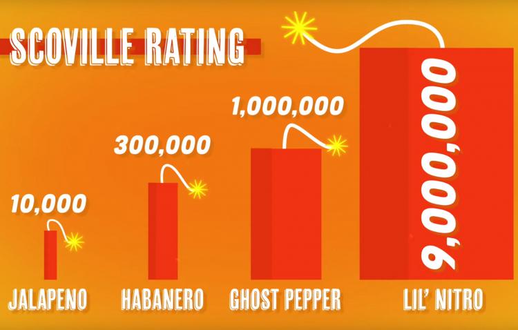 Lil' Nitro Is The World's Hottest Gummy Bear - spiciest candy gummy bear