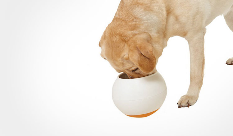Oppo Food Bowl Slows Down Dogs Eating
