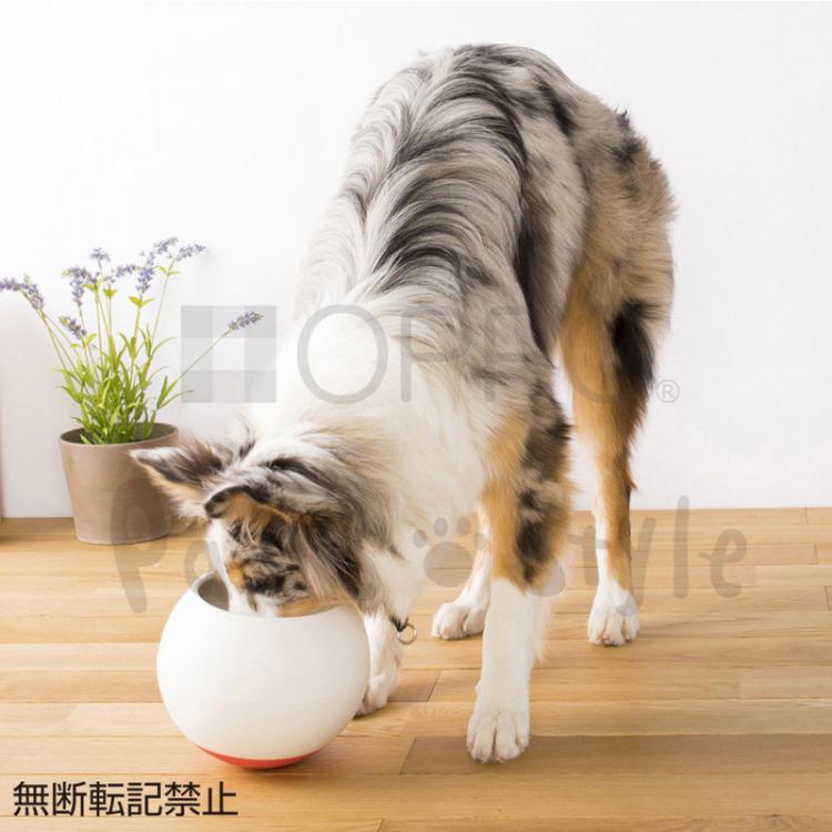 Oppo Food Bowl Slows Down Dogs Eating
