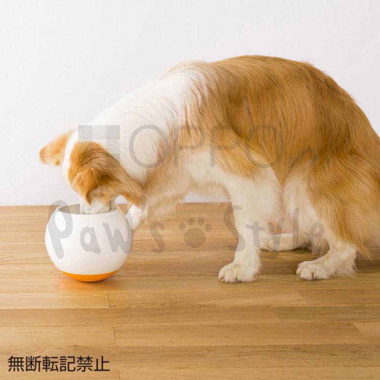 Oppo Food Bowl Slows Down Dogs Eating