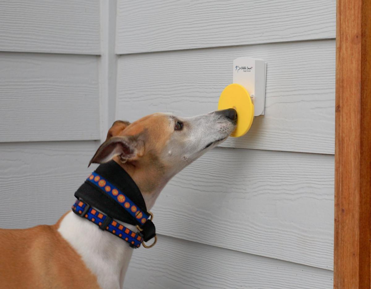 Pebble Smart Doggie Doorbell - Remote doorbell for your dog