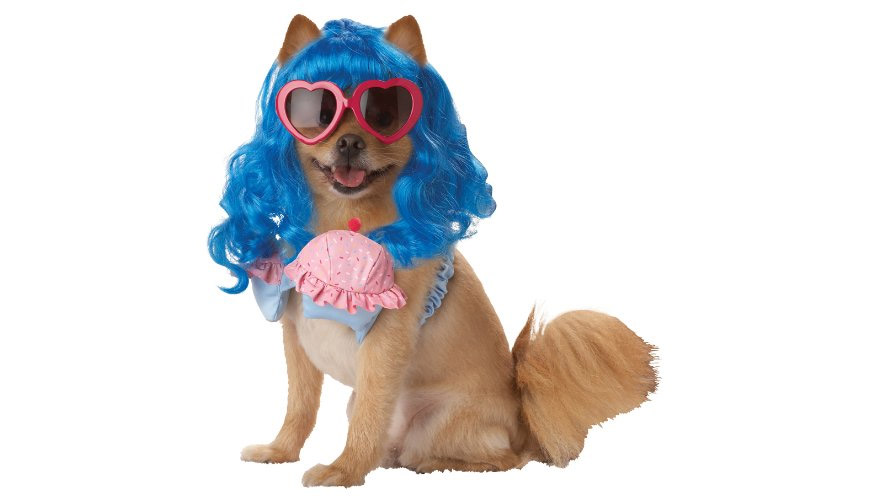 Katy Perry Dog Costume