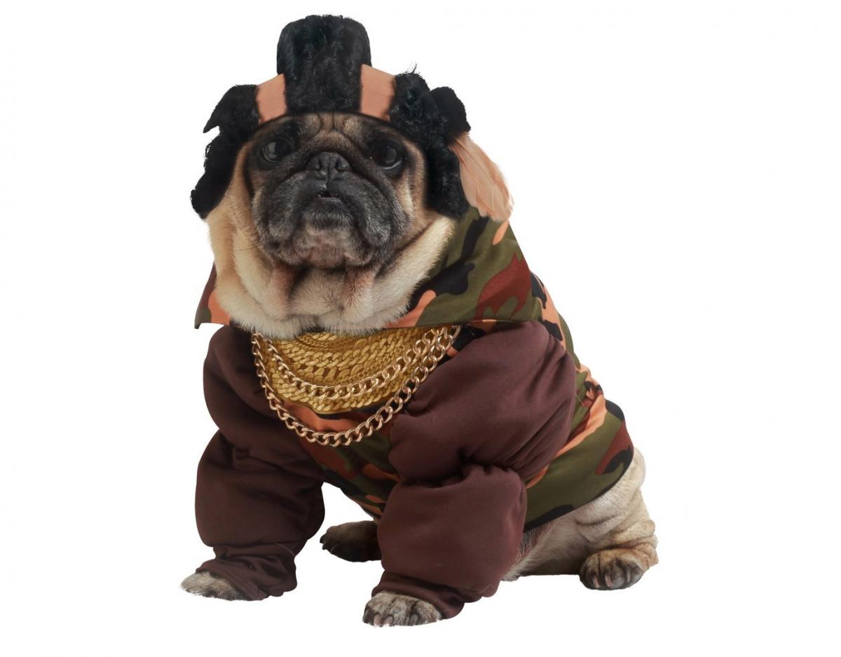 Mr. T Dog Costume