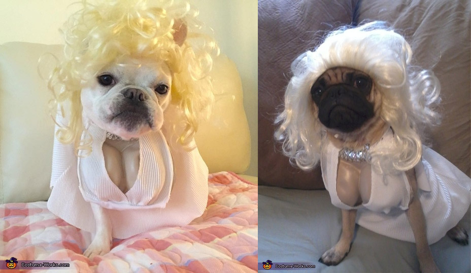 Marilyn Monroe Dog Costume - Funny Marilyn Monroe Halloween dog costume with cleavage