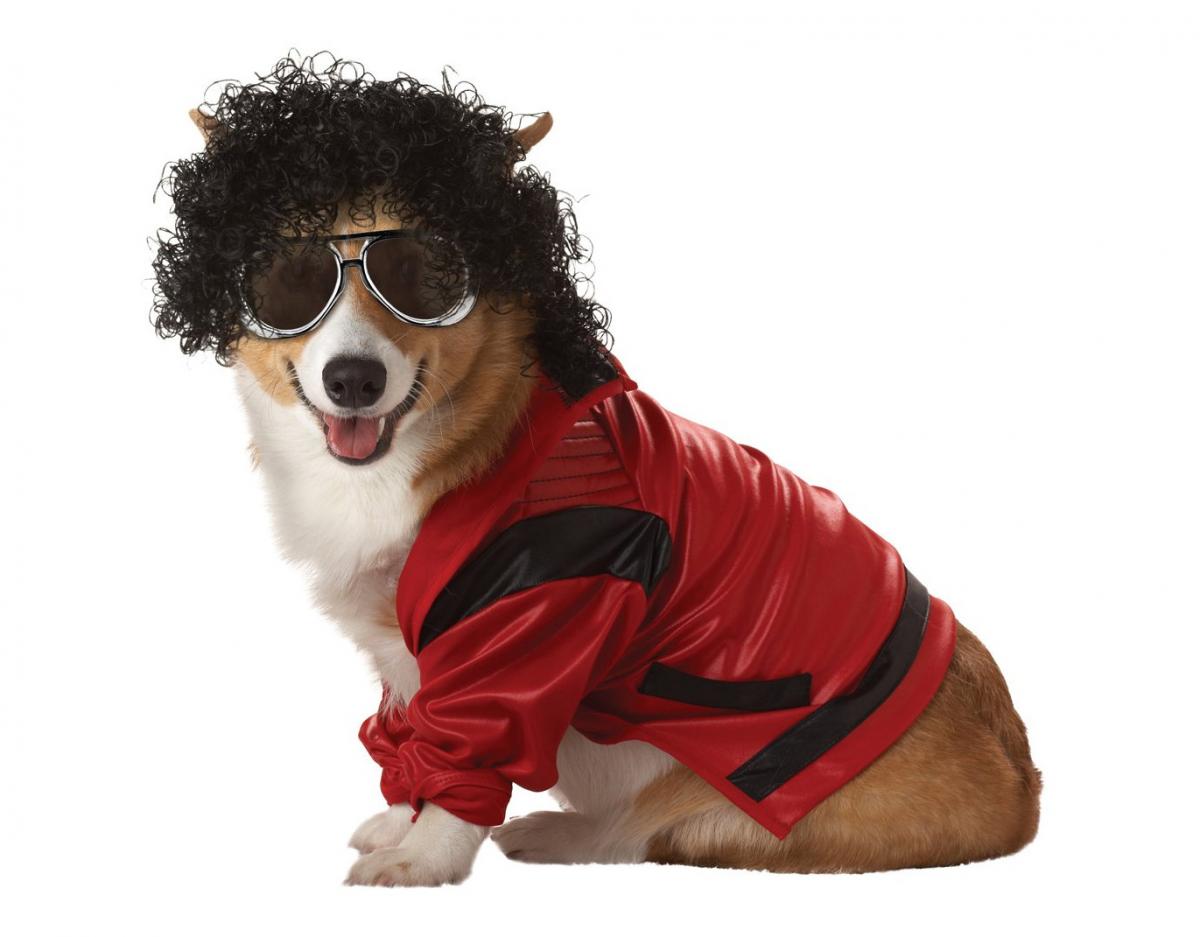 Michael Jackson Dog Costume