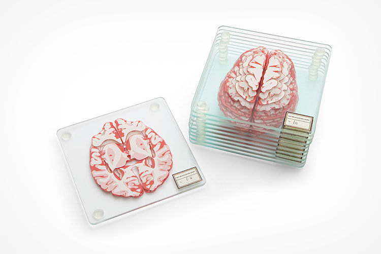 Brain Specimen Coasters