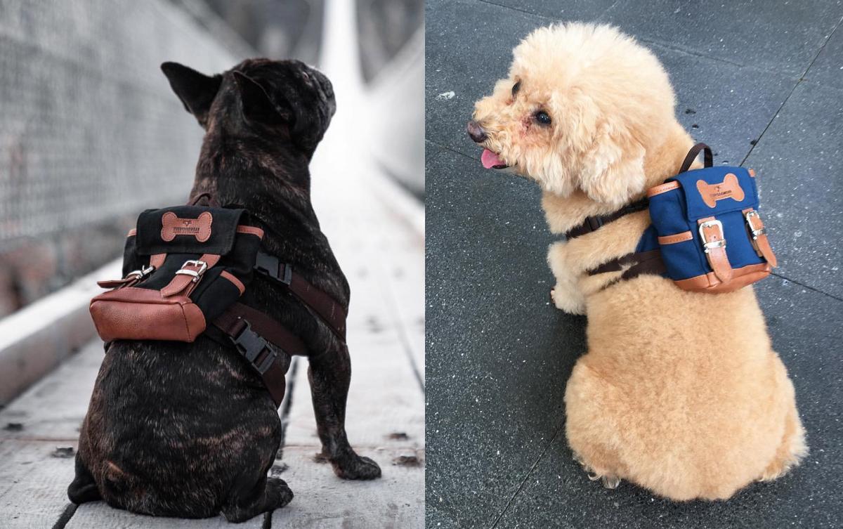 Cute Little Doggie Backpack - Mini canvas dog backpack lets them hold their puppies on their back