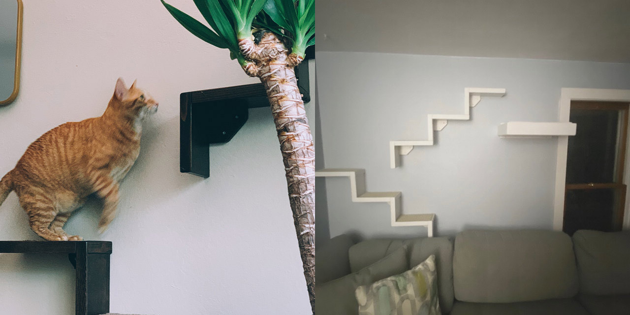 Floating Cat Stairs - Floating cat shelves give your cat a view while they relax