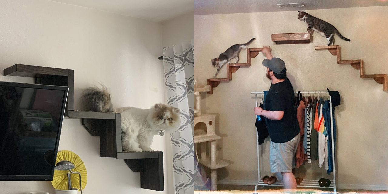 Floating Cat Stairs - Floating cat shelves give your cat a view while they relax
