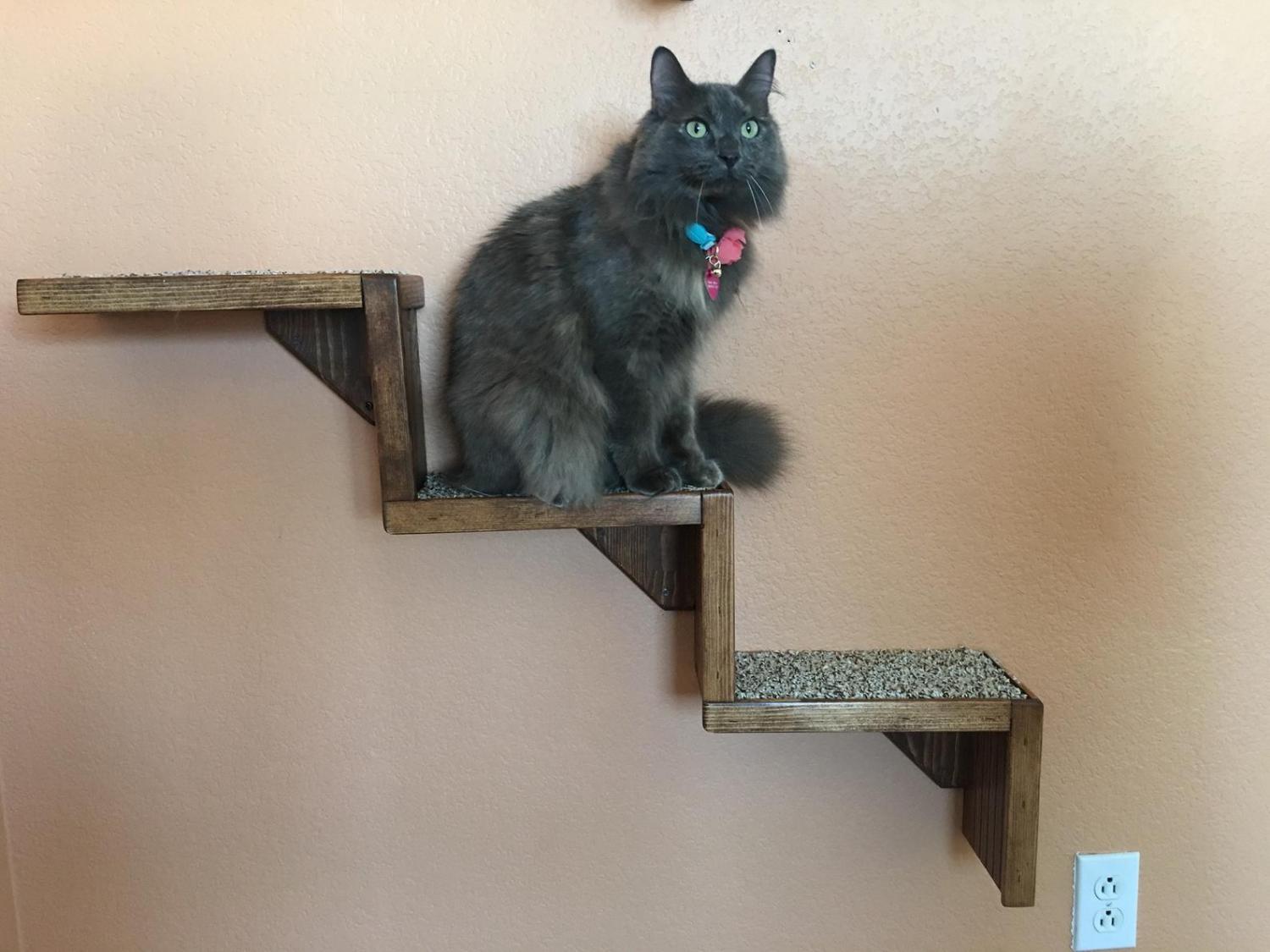 Floating Cat Stairs - Floating cat shelves give your cat a view while they relax