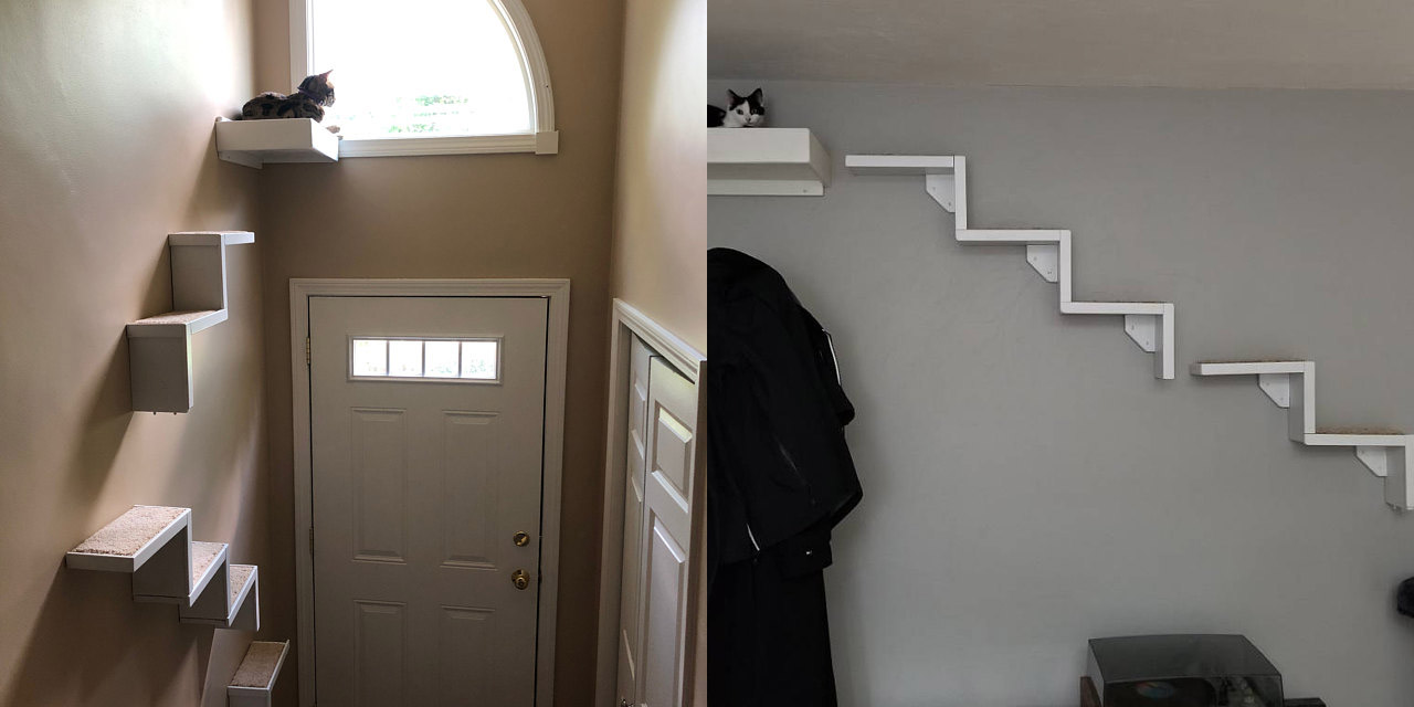 Floating Cat Stairs - Floating cat shelves give your cat a view while they relax