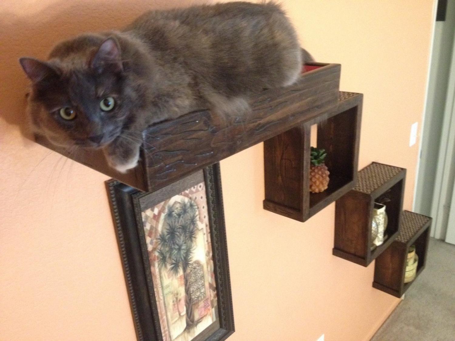 Floating Cat Stairs - Floating cat shelves give your cat a view while they relax