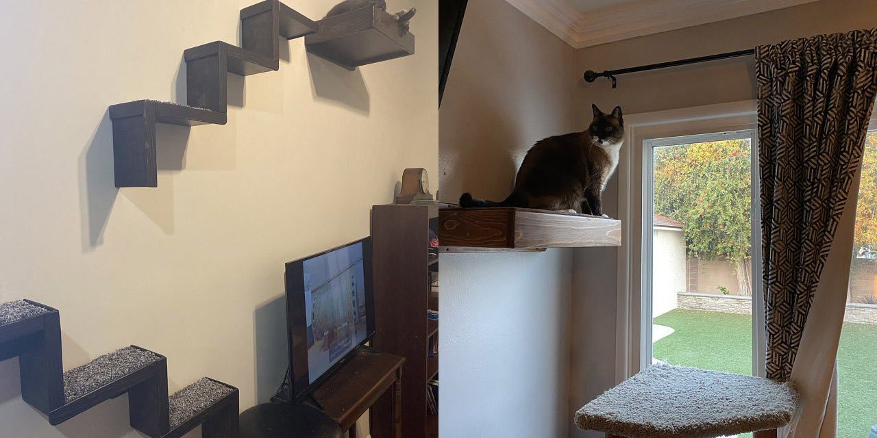 Floating Cat Stairs - Floating cat shelves give your cat a view while they relax