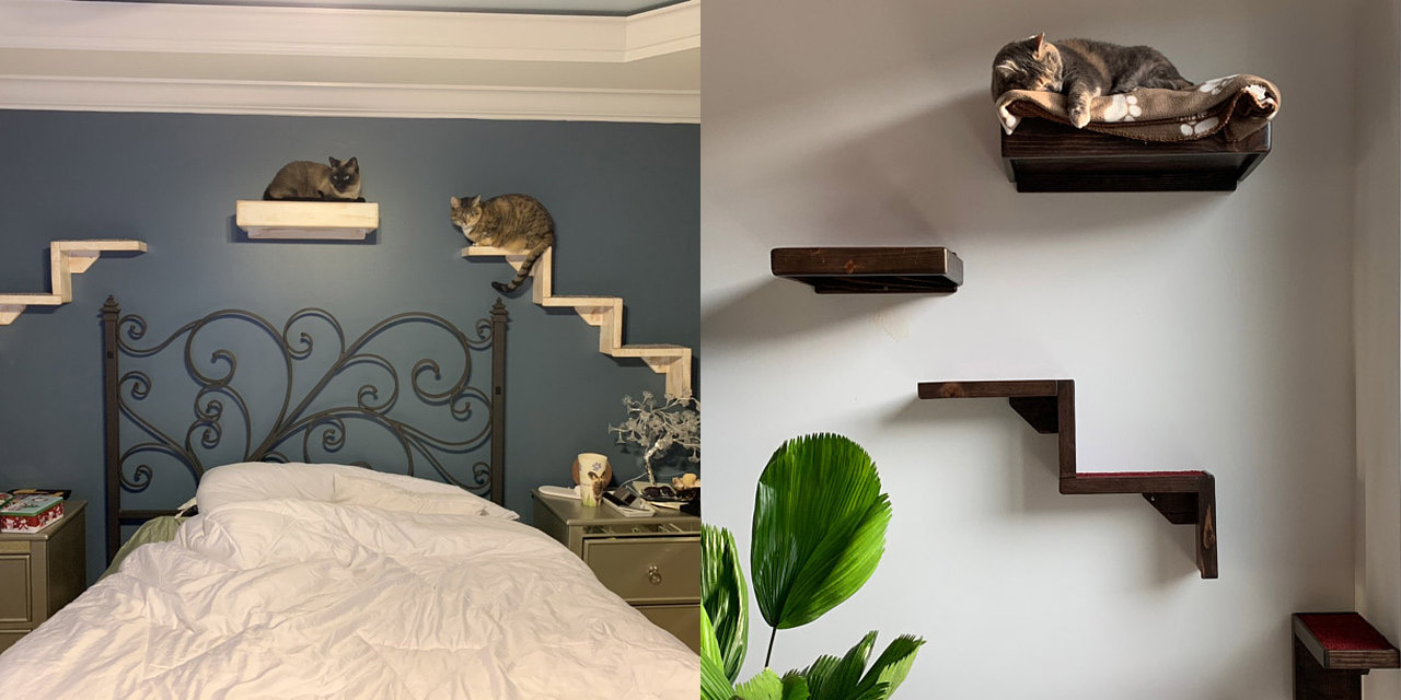 Floating Cat Stairs - Floating cat shelves give your cat a view while they relax