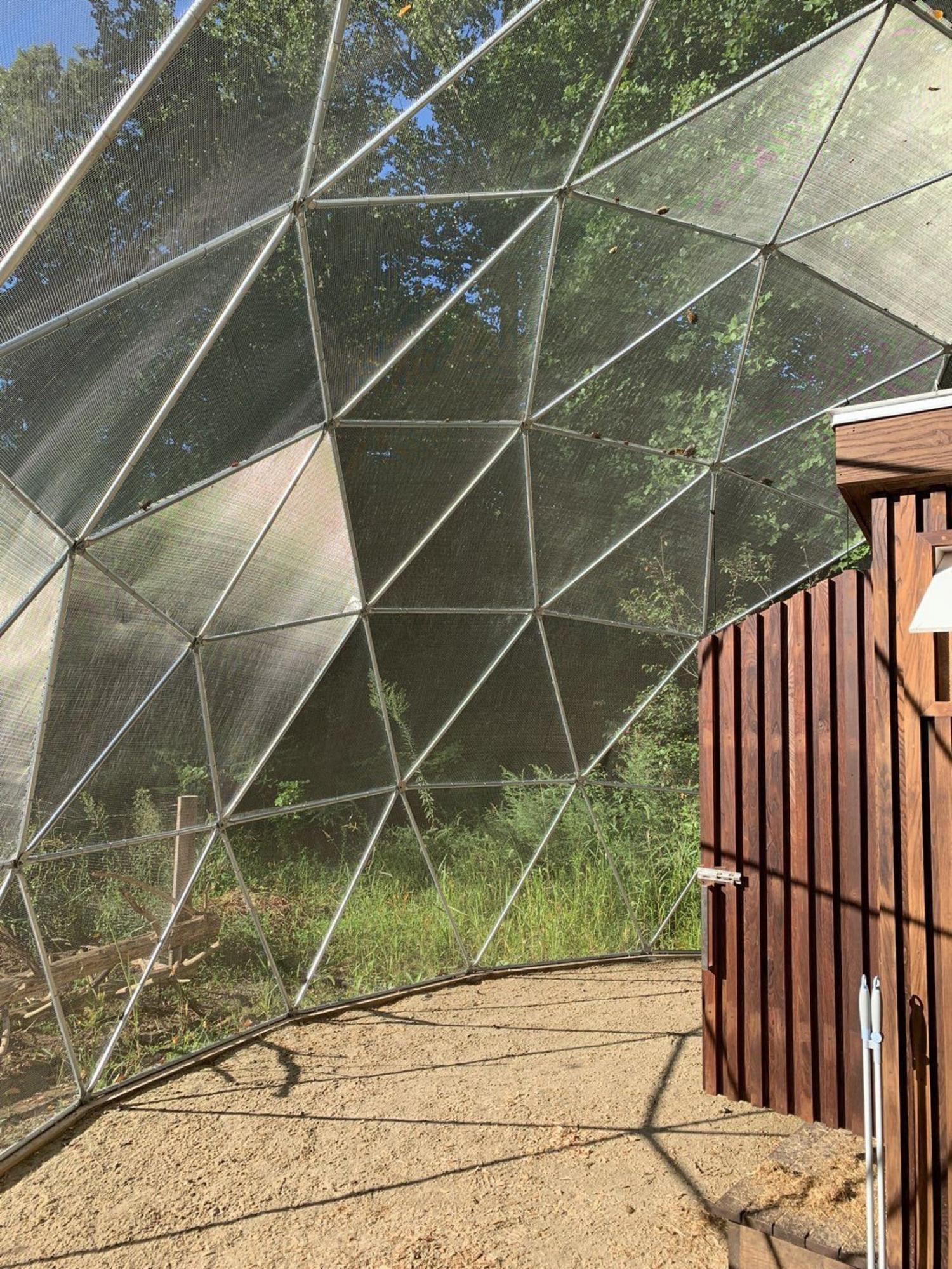 Geodesic Domes Chicken Coop Safety Dome