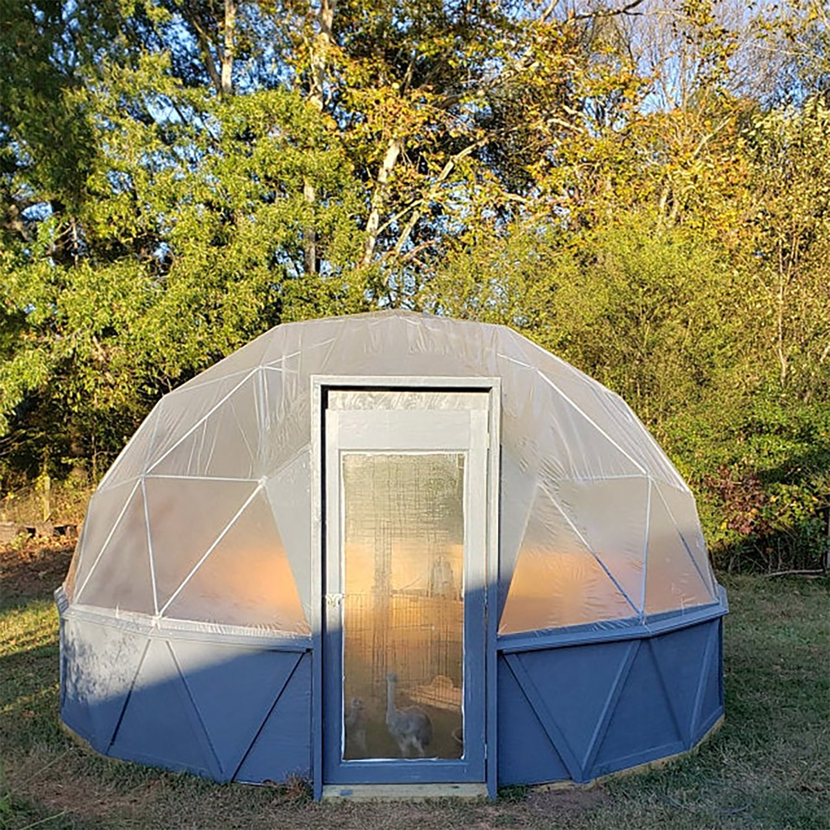 Geodesic Domes Chicken Coop Safety Dome