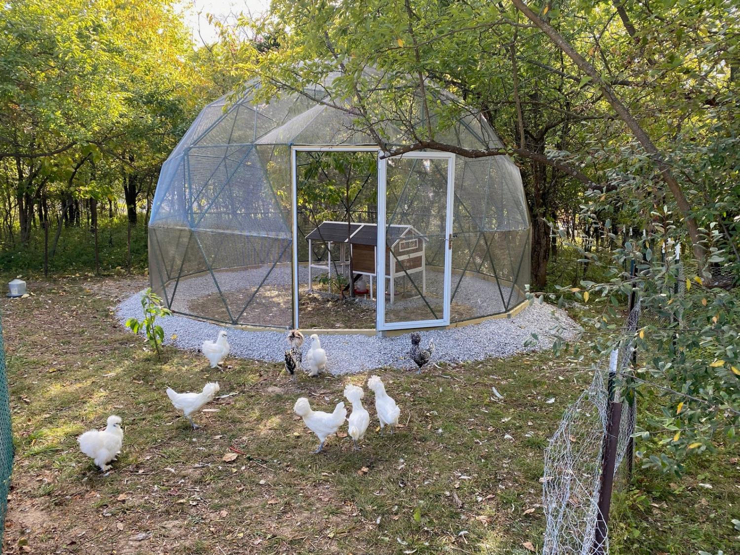 Geodesic Domes Chicken Coop Safety Dome