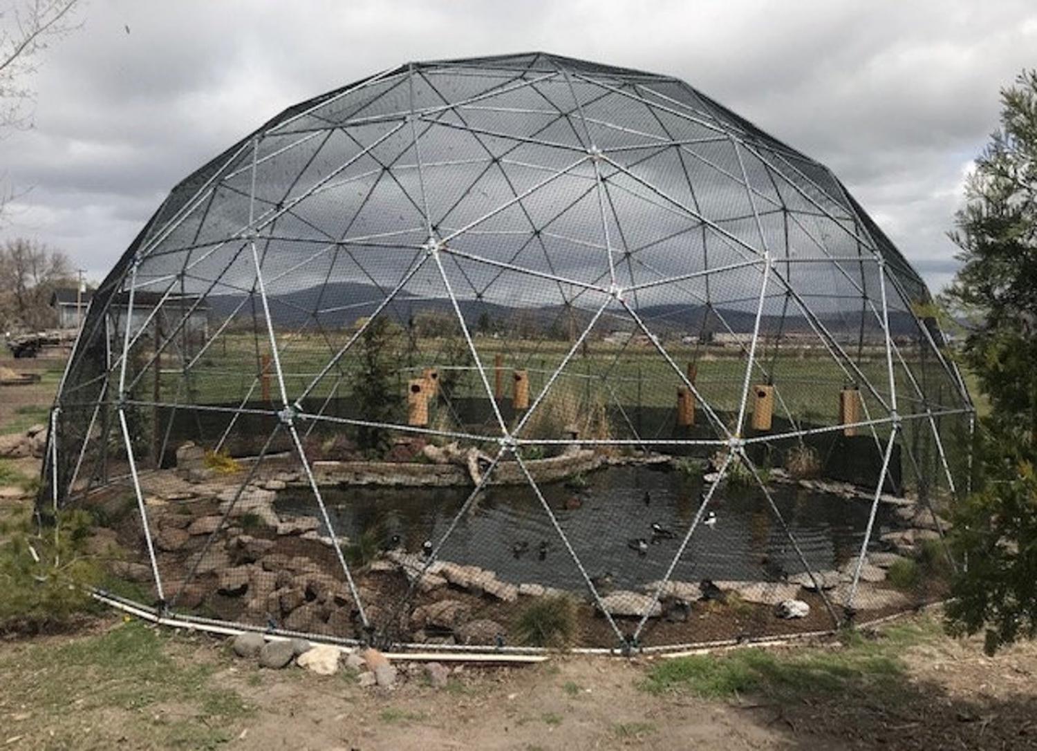 Geodesic Domes Chicken Coop Safety Dome