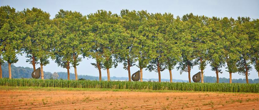 Raindrop Shaped Tree Tents Let You Sleep In The Trees - Dew Drop TreeTents by DrÃ© Wapenaar